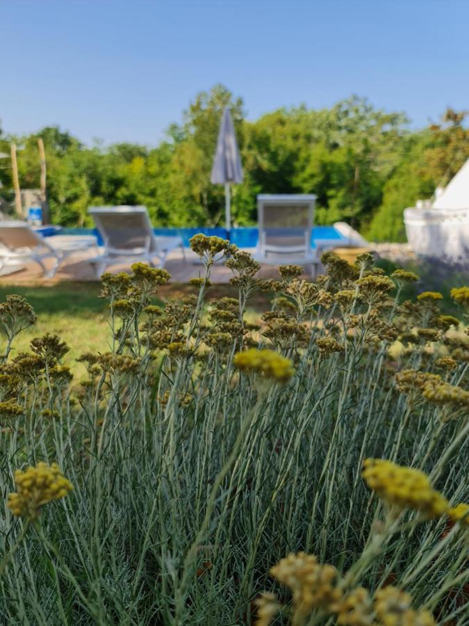 Boutique Resort Osma - Adults Only Малинска Екстериор снимка